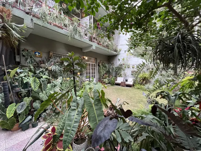 Tainan Daily Homestay - A Paradise for Foliage Plant Enthusiasts