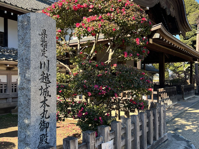 Exploring Kawagoe: A Perfect Day Trip Through Edo-Style Streets and Historic Landmarks