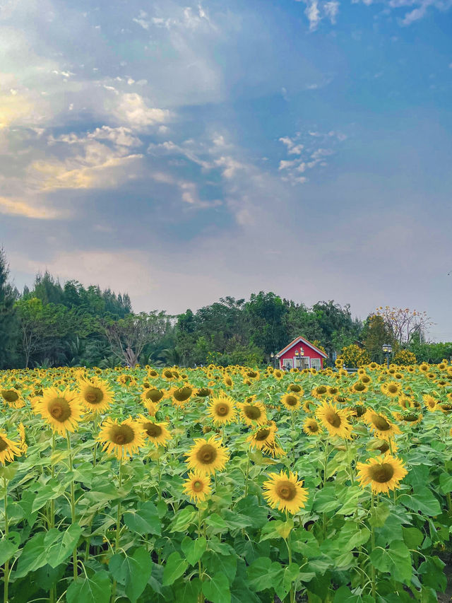 บ้านไร่นายรุ่ง | กาญจนบุรี 🌻