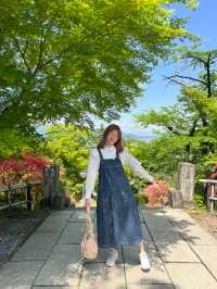 Shorinzan Daruma-ji วัดแห่งดารุมะ 🎏