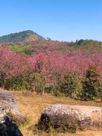 ภูลมโล (อุทยานภูหินร่องกล้า)