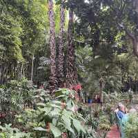Amazing Jardim Majorelle with exotic plants
