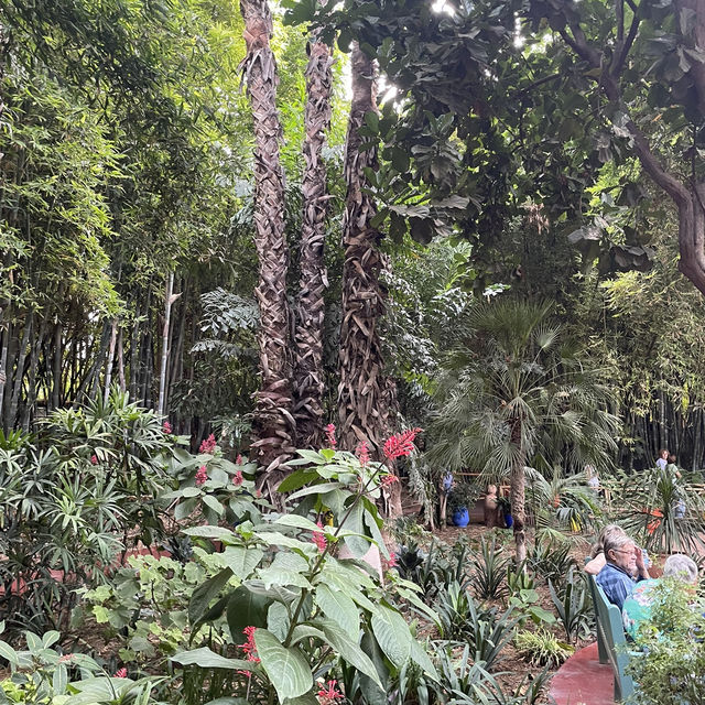 Amazing Jardim Majorelle with exotic plants