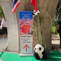 ตื่นตาตื่นใจกับแพนด้ากว่า3000ตัว