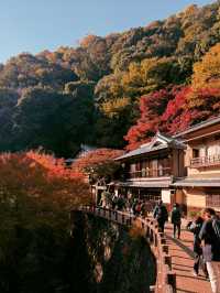 大阪｜近郊的世外桃源-箕面公園 紅葉季還能嚐炸楓葉