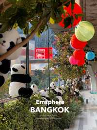 ตรุษจีนนี้พลาดไม่ได้! ถ่ายรูปกับแพนด้าสุดคิวท์