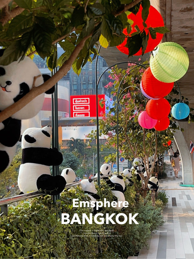 ตรุษจีนนี้พลาดไม่ได้! ถ่ายรูปกับแพนด้าสุดคิวท์