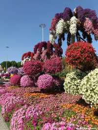 Dubai Miracle Garden