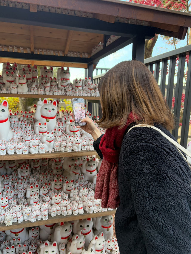 Gotokuji Temple 😸 วัดแมวกวักนำโชคในโตเกียว