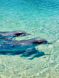 Sea World