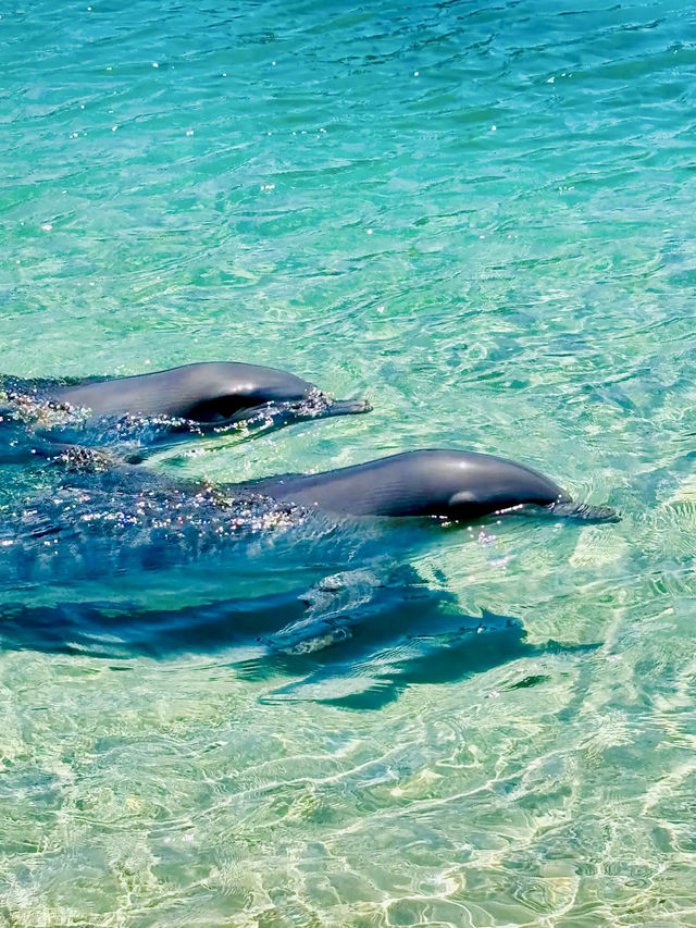 Sea World