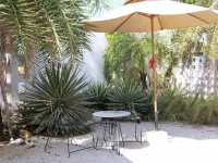 💞Marrone cafe and garden bar