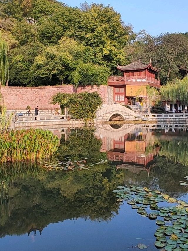 黃鶴樓登高俯瞰長江