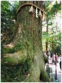 【東京・八王子】東京で大自然を楽しめるスポット＊高尾山＊