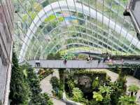 A Breathtaking Oasis: Gardens by the Bay