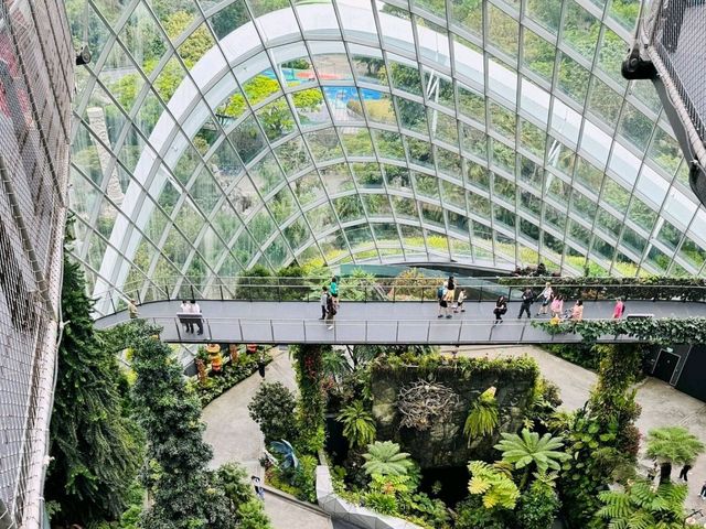 A Breathtaking Oasis: Gardens by the Bay