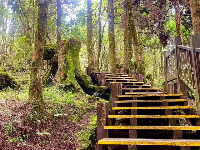 走讀一代林業的風華歷史～太平山蹦蹦車鐵道