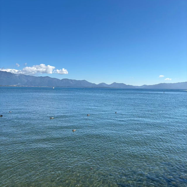 【福島】スポット満載の福島旅