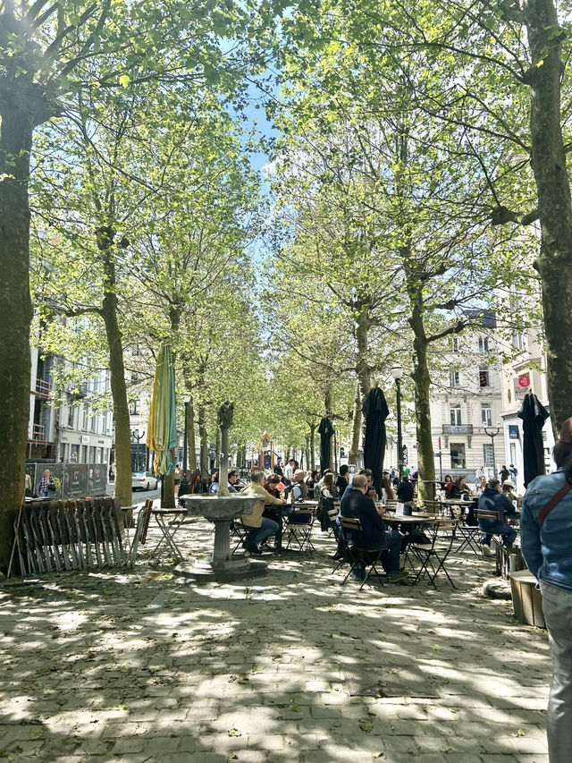 A Day in Brussels: Waffles, Wonders, and World-Class Charm
