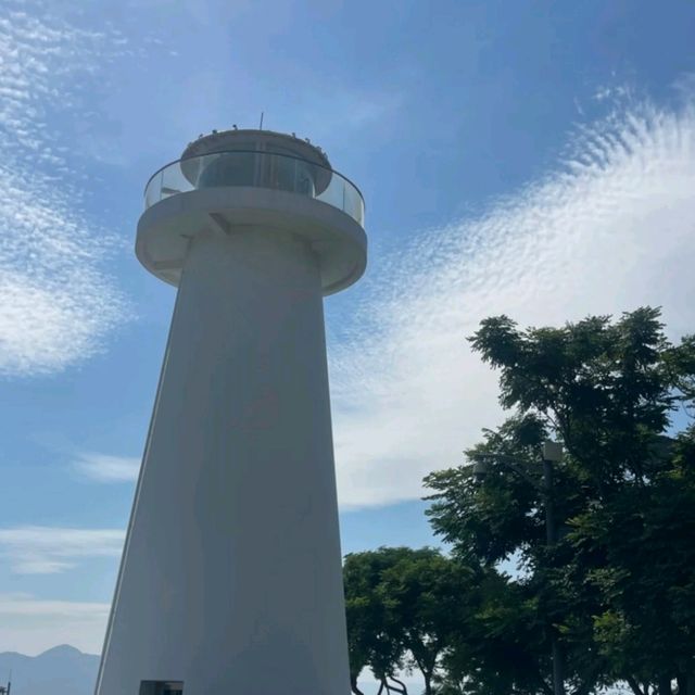 蛇口漁港的市井詩意｜漁人碼頭晨昏記