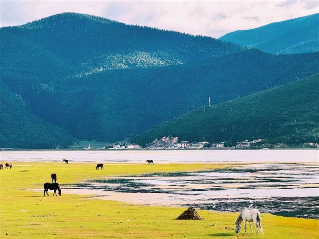 Explore the Serene Beauty of Napa Lake