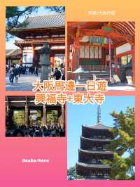 大阪行程｜周邊一日遊｜興福寺與東大寺