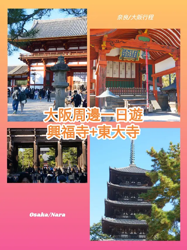 大阪行程｜周邊一日遊｜興福寺與東大寺