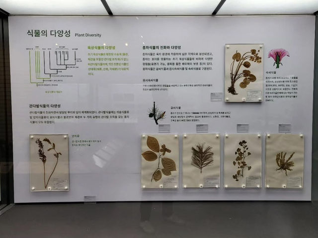 대전광역시 충남 대학교 대덕 캠퍼스 자연사 박물관 입니다.