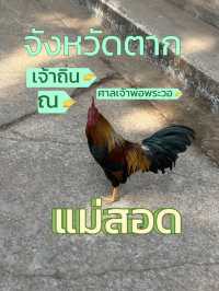 ขอพร 🙏 ศาลเจ้าพ่อพะวอ 🎖️แม่สอด