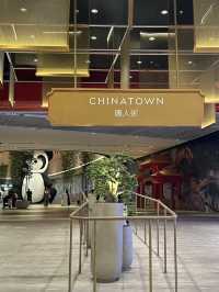 Dubai Mall: The Ultimate Shopping and Entertainment Destination