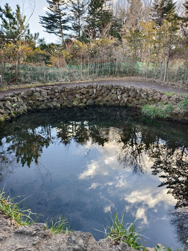 池水極清澈乾淨的忍野八海