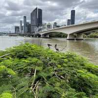 Southbank, kangaroo point and Brisbane city trip