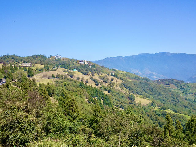 Where Nature and Culture Meet: Qingjing Farm