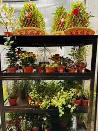Blooming Beauty at Weng Hoa Flower Boutique! 🌸