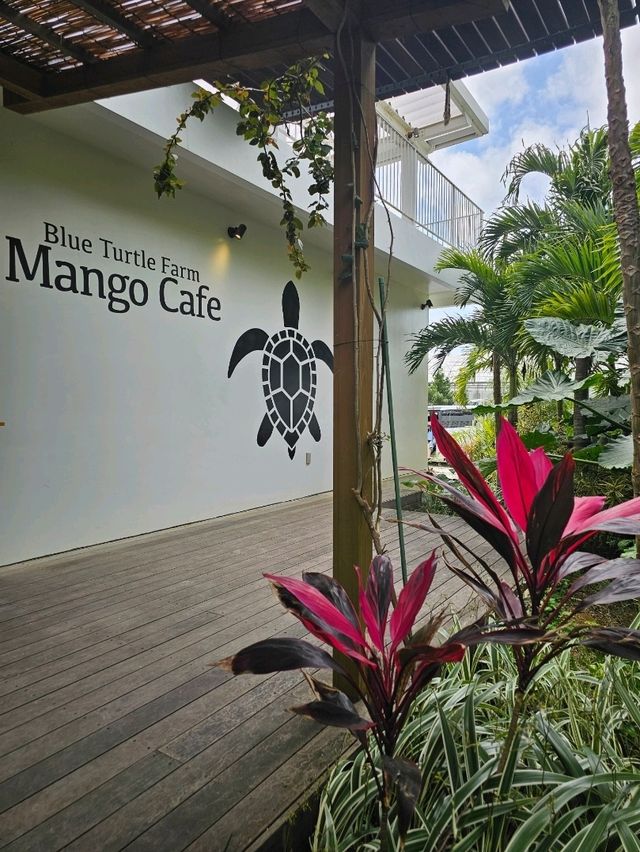 ジャングルに吊り橋にブランコに遊べるカフェ