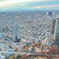 Tokyo Metropolitan Government Building