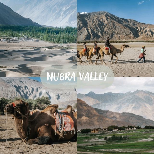 Leh Ladakh