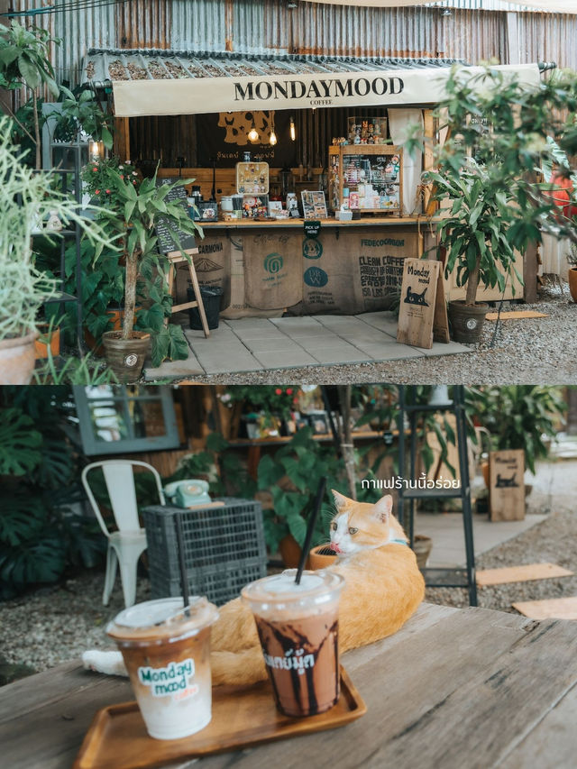 คาเฟ่ชลบุรี