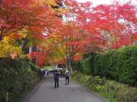 【岩手・平泉】中尊寺🍁✨