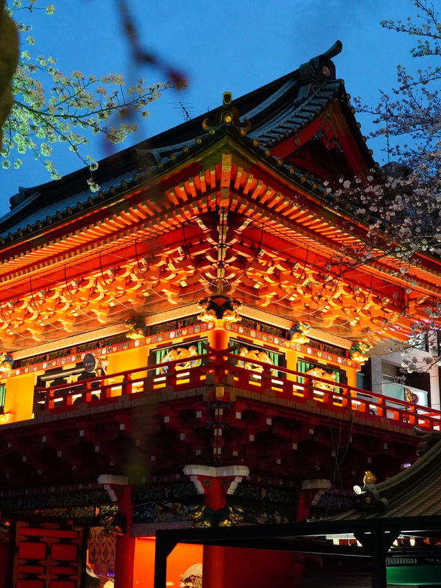 【東京×神田明神の桜】  