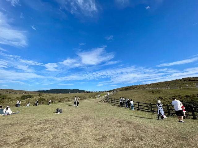 陽明山冷水坑✨寧靜優美的自然秘境 🌿🌊