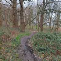 Richmond Park (London)