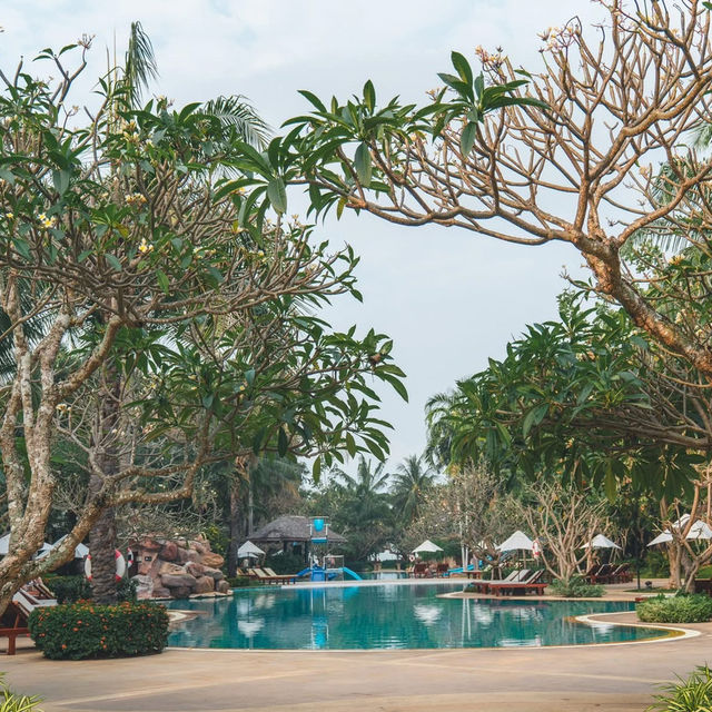 รีสอร์ทวิวต้นตาลที่สวยสุดในพัทยา