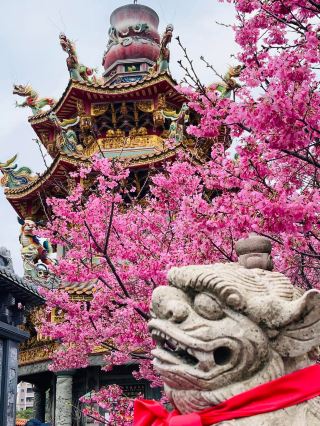 Zhulinshan Guanyin Temple