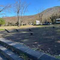 Hallasan National Park