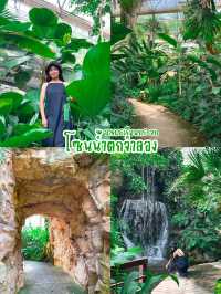 4 จุดห้ามพลาด ในสวนพฤกษาศาสตร์เชียงใหม่ 🌵