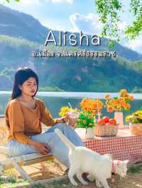 Alisha | คาเฟ่ติดม.ราชภัฏนครศรีฯ