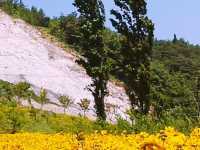 A Peaceful Escape to Mureung Byeol Yucheonji in Donghae