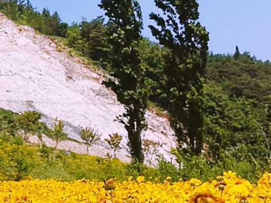 A Peaceful Escape to Mureung Byeol Yucheonji in Donghae