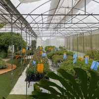 Phuean Suan Farm • Tap Ma, Rayong